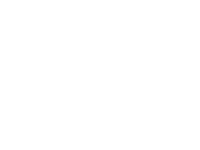 Logo: Bristol City Museum and Art Gallery